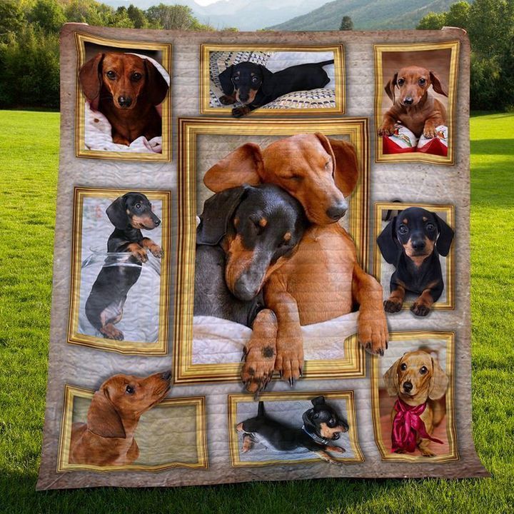 Dachshund DTC2410152 Quilt Blanket
