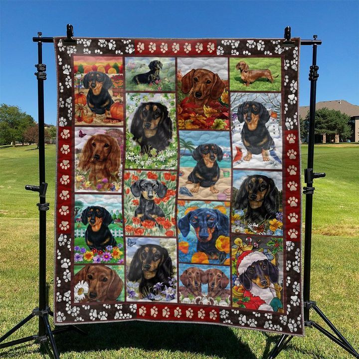 Dachshund DTC2410158 Quilt Blanket
