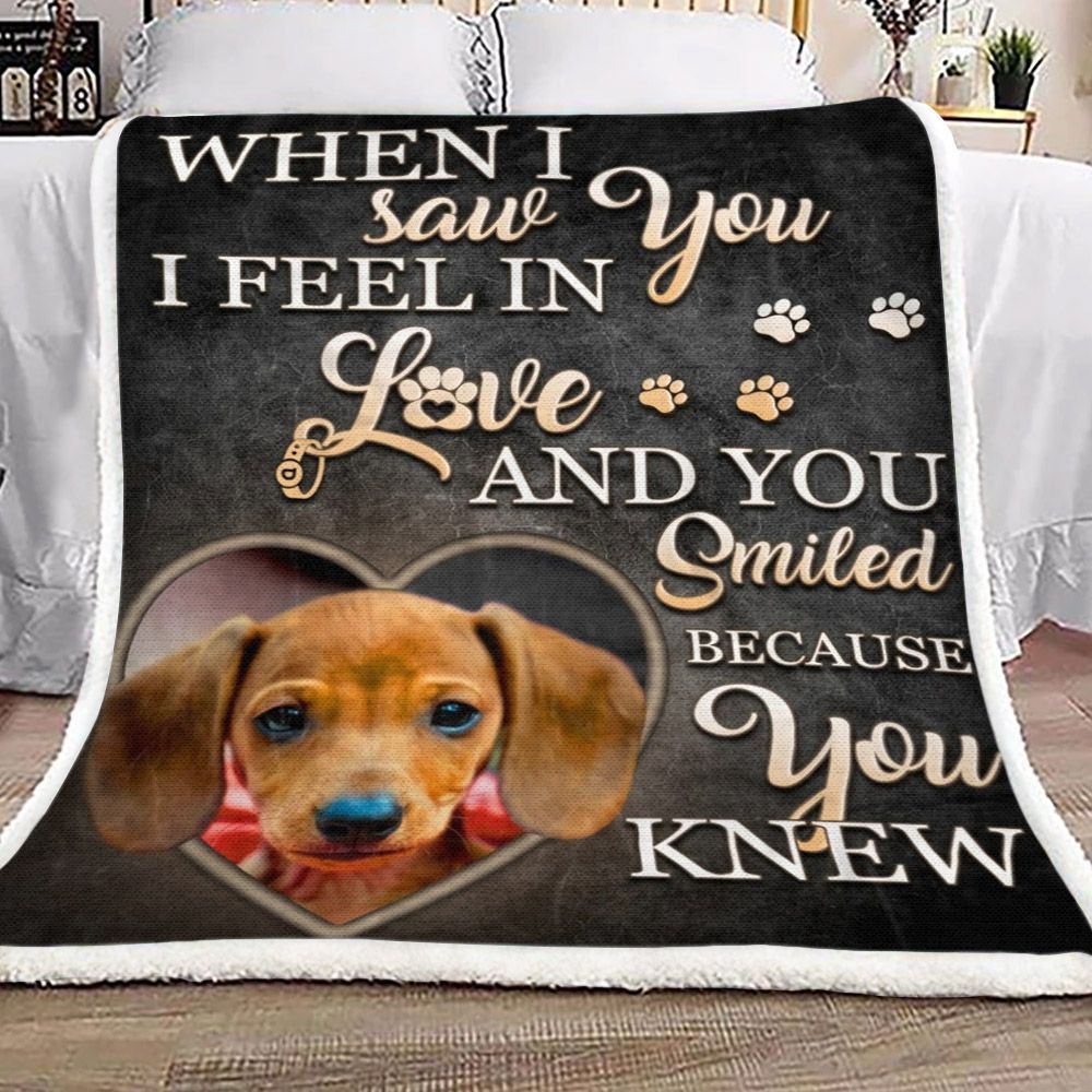 Dachshund Sherpa Fleece Blanket