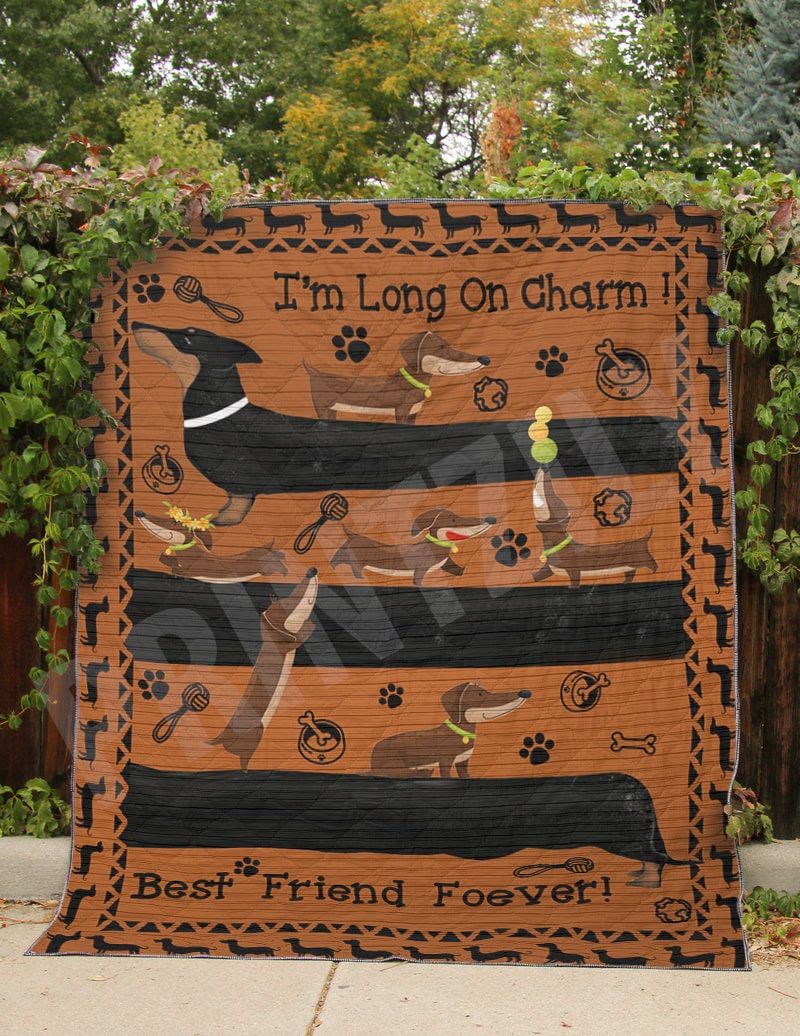Dachshund Im Long On Charm Quilt Blanket DHC0201201390TD