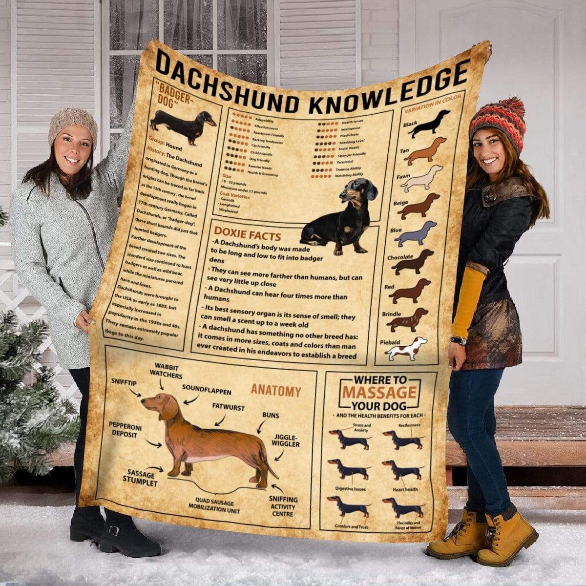 Dachshund Knowledge Fleece Blanket