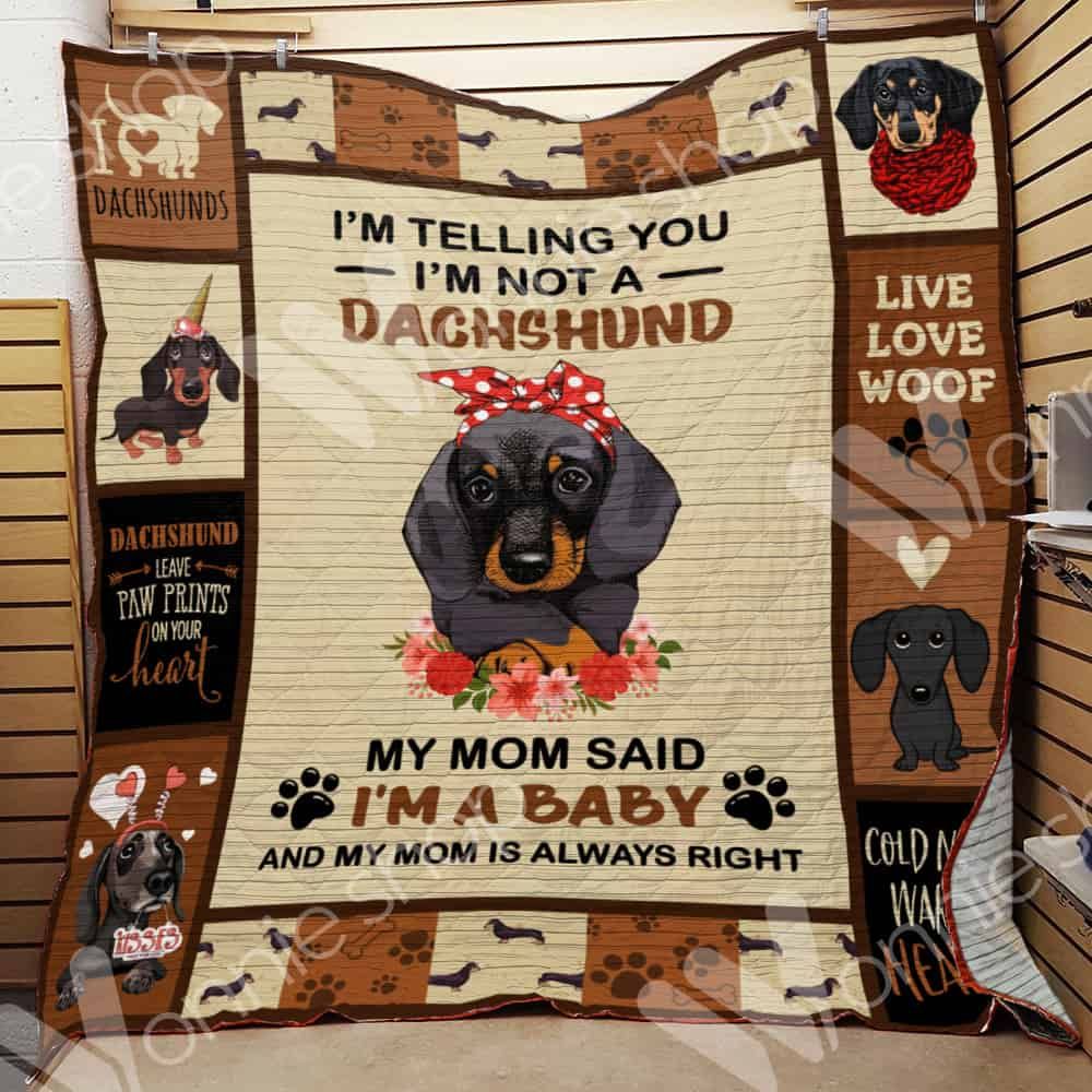 Dachshund Quilt Blanket DHC1312394VT