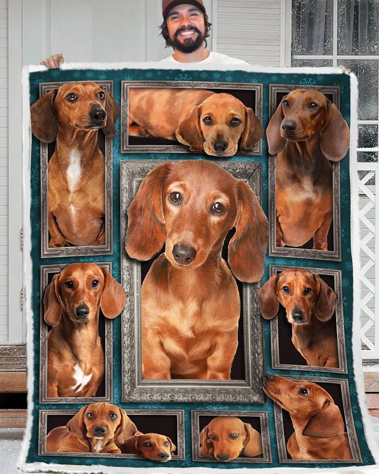 Dachshund Quilt Blanket DHC150120704TD