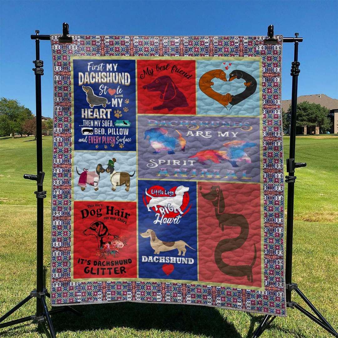 Dachshund TD2809328 Quilt Blanket