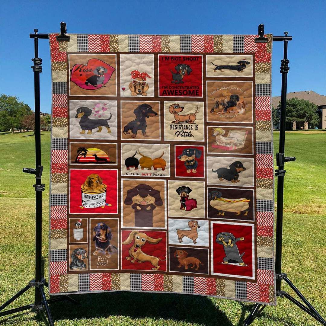 Dachshund TD2809331 Quilt Blanket