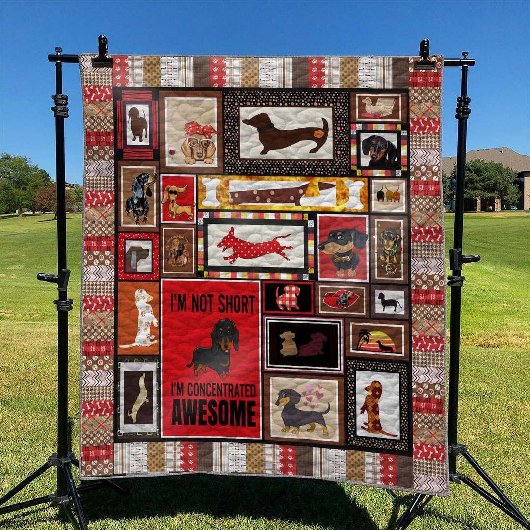 Dachshund TD2809340 Quilt Blanket