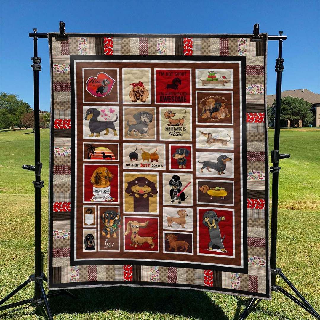 Dachshund TD2809342 Quilt Blanket
