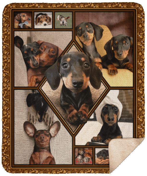 Dachshunds Sherpa Fleece Blanket