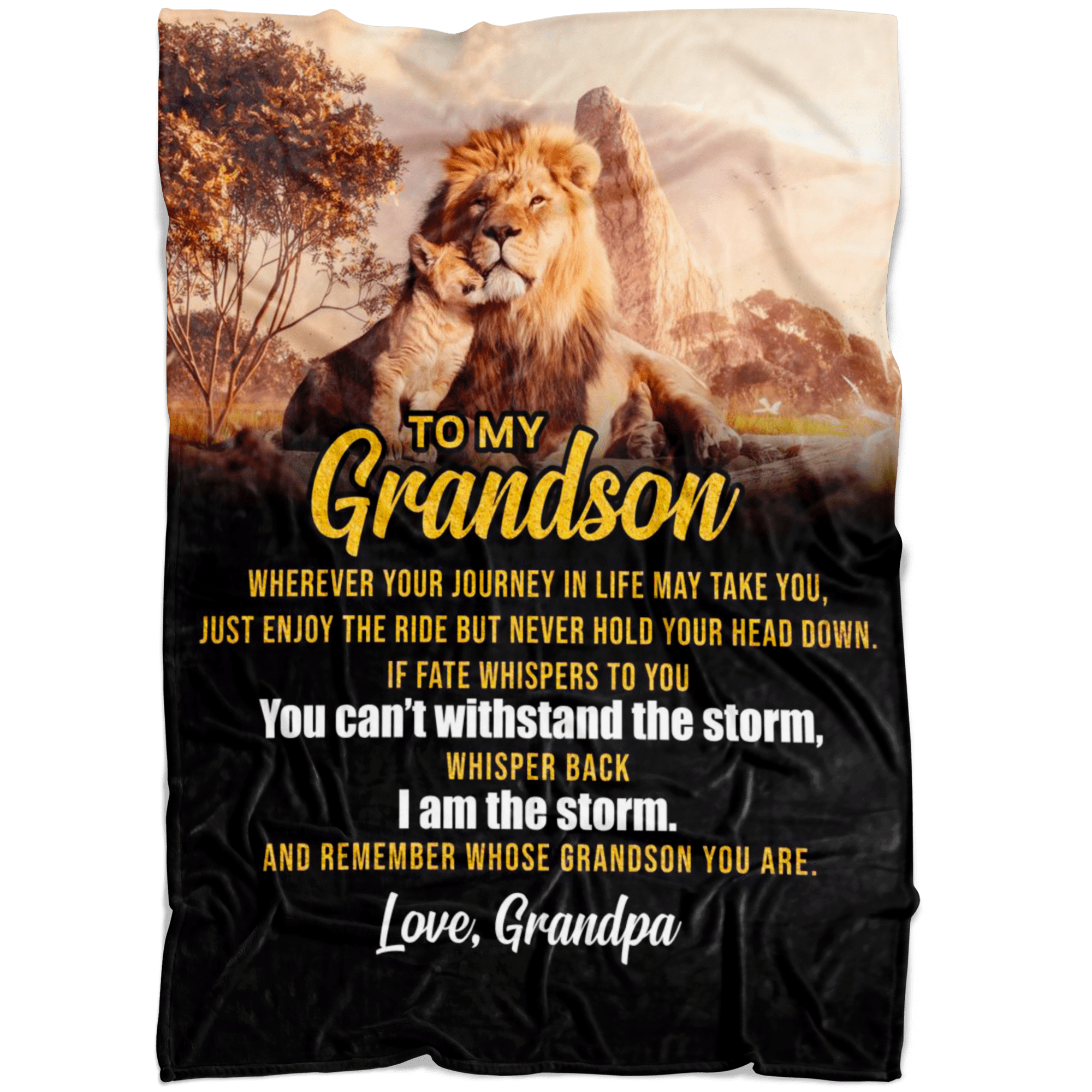 Dad Giving Grandson Whenever Your Journey In Life May Make You Fleece Blanket