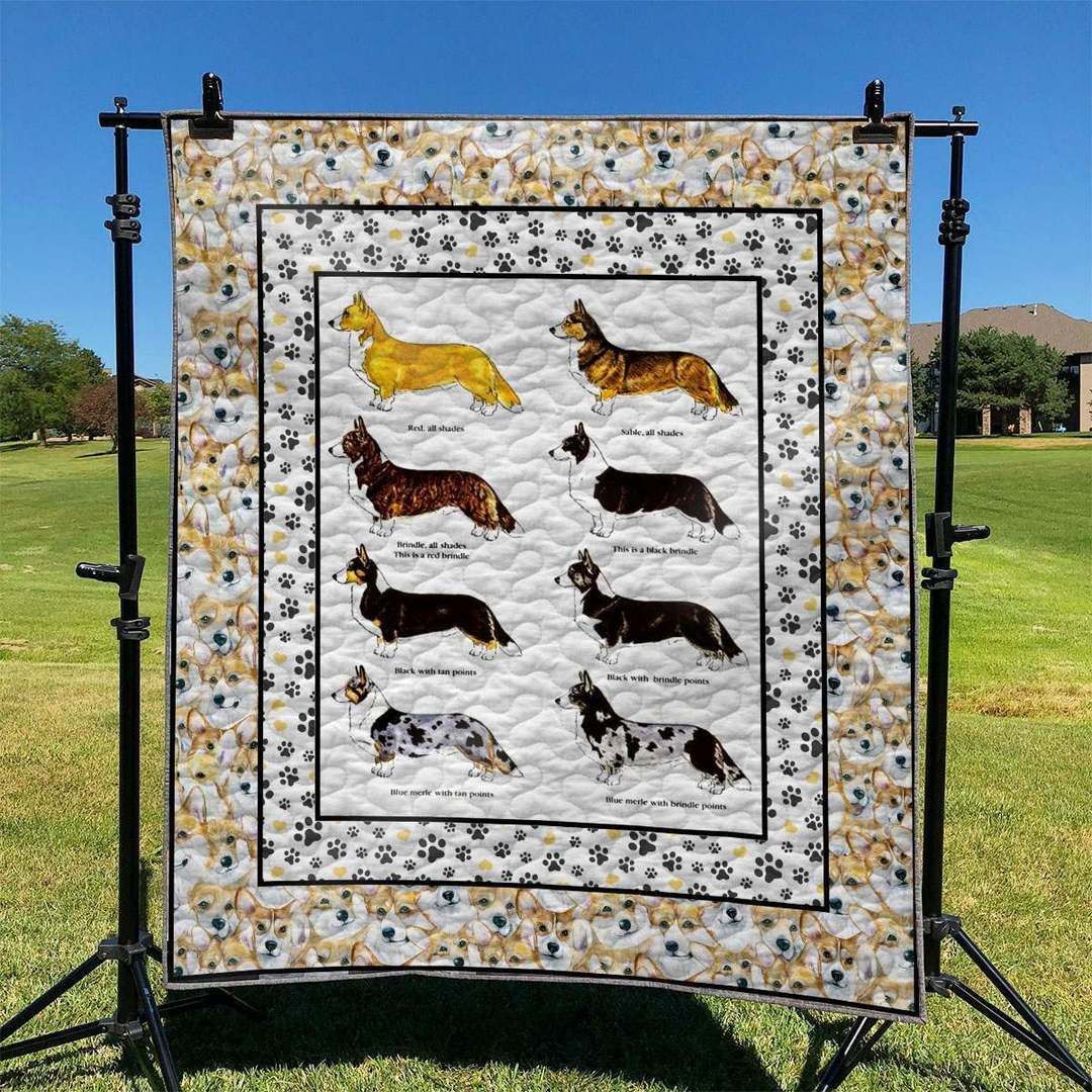 Dog Corgi TD2709329 Quilt Blanket