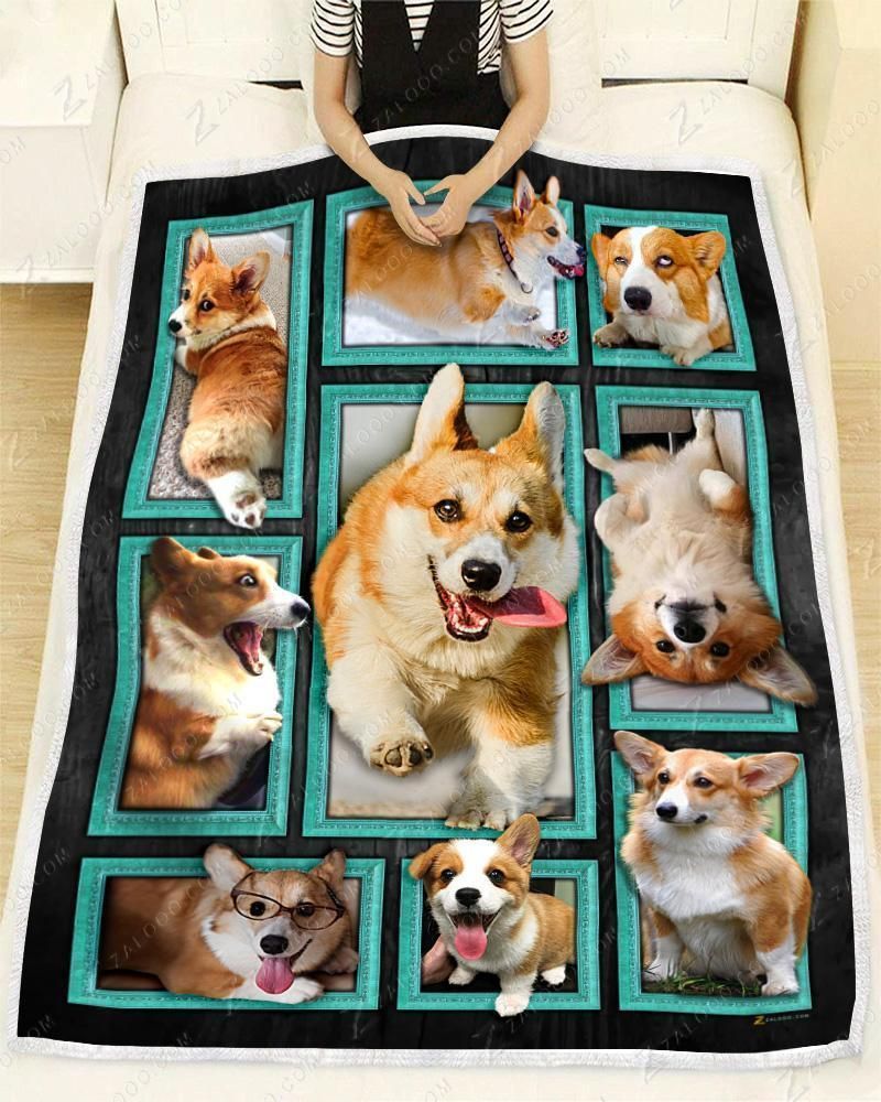 Dog Cute Pembroke Welsh Corgi Dogs Sherpa Fleece Blanket