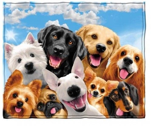 Dogs Selfie Sherpa Fleece Blanket