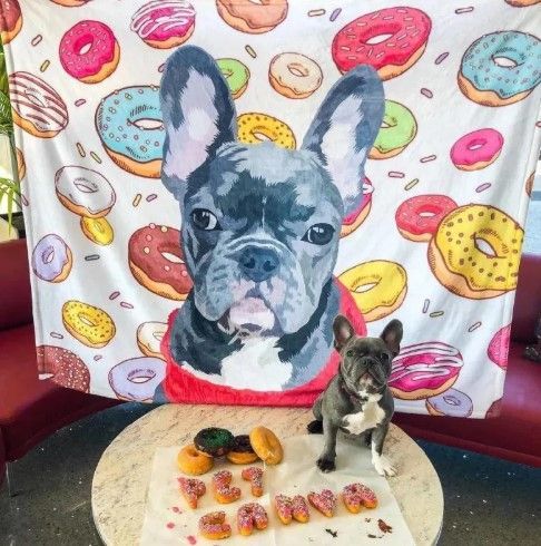 Donut French Bulldog Sherpa Fleece Blanket