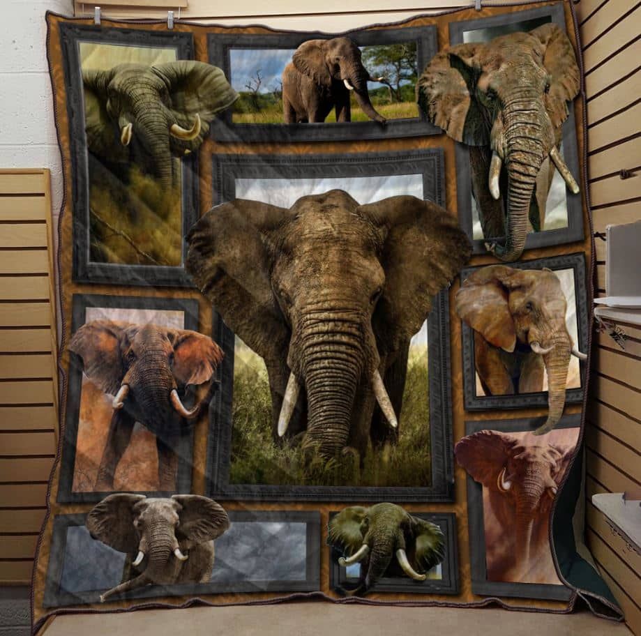 Elephant Wild Life Wander Quilt Blanket Dhc04011770Dd