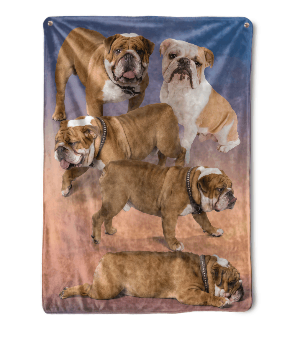 English Bulldog Sherpa Fleece Blanket