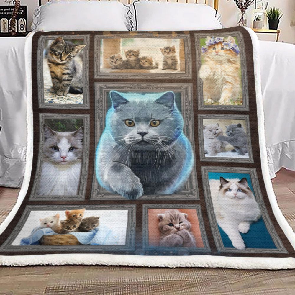 English Cat Light Adorable Sherpa Fleece Blanket
