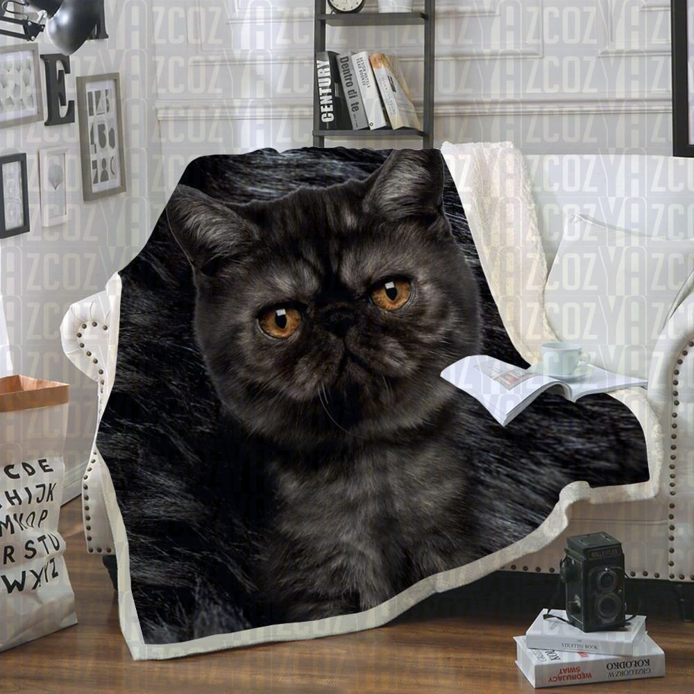 Exotic Shorthair Cat Sherpa Fleece Blanket