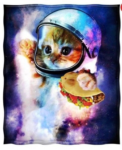 Funny Cat Astronaut Sherpa Fleece Blanket