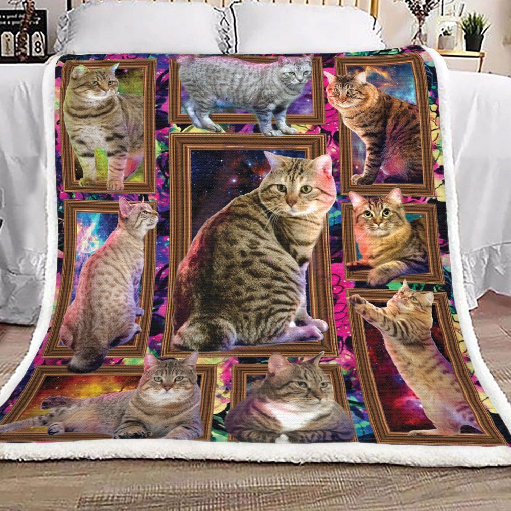 Gold Frame Cat Cute Sherpa Fleece Blanket