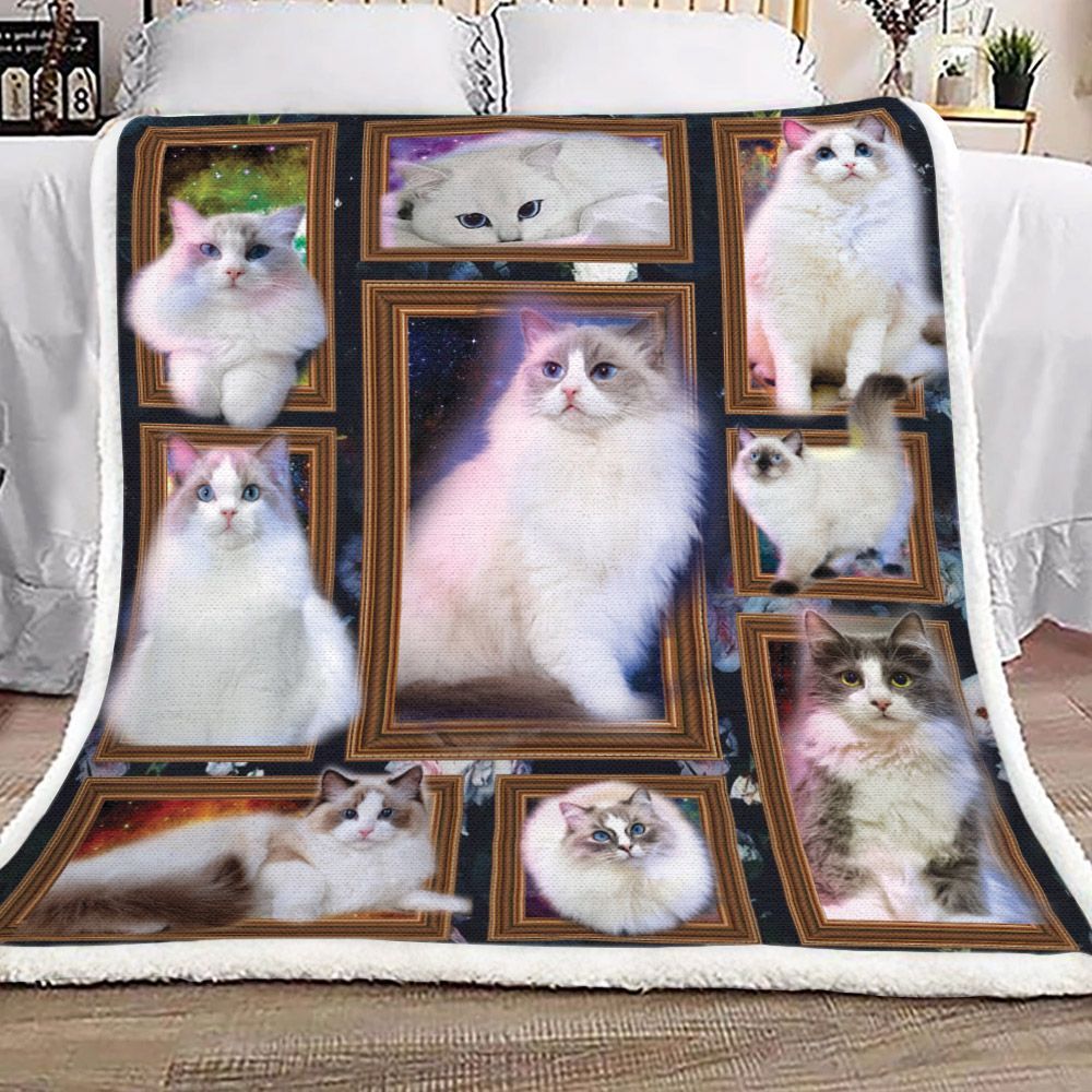 Gold Frame Cat Cute Sherpa Fleece Blanket