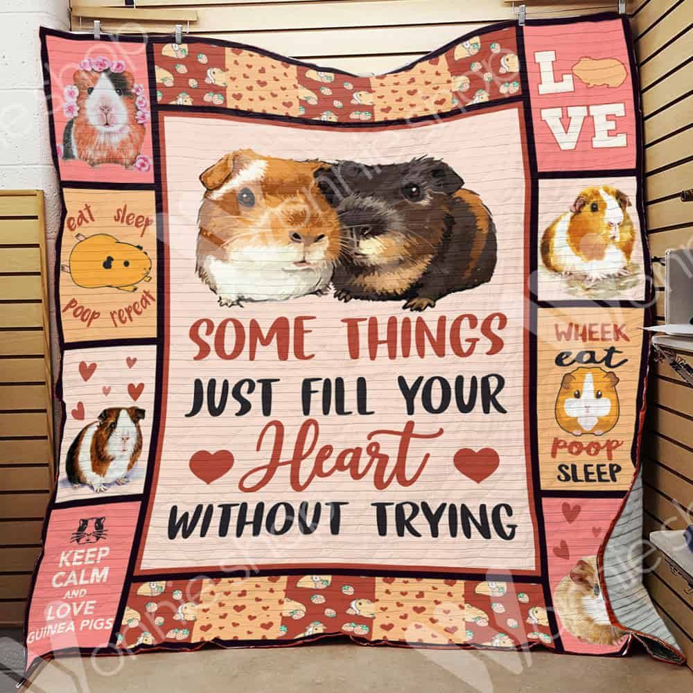 Guinea Pig Quilt Blanket DHC0102648TD