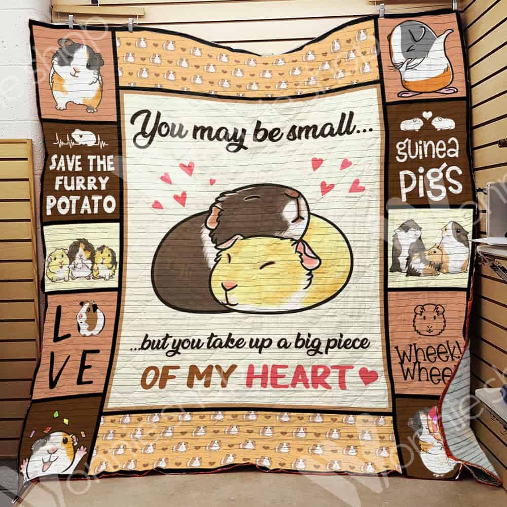 Guinea Pig Quilt Blanket DHC0102664TD
