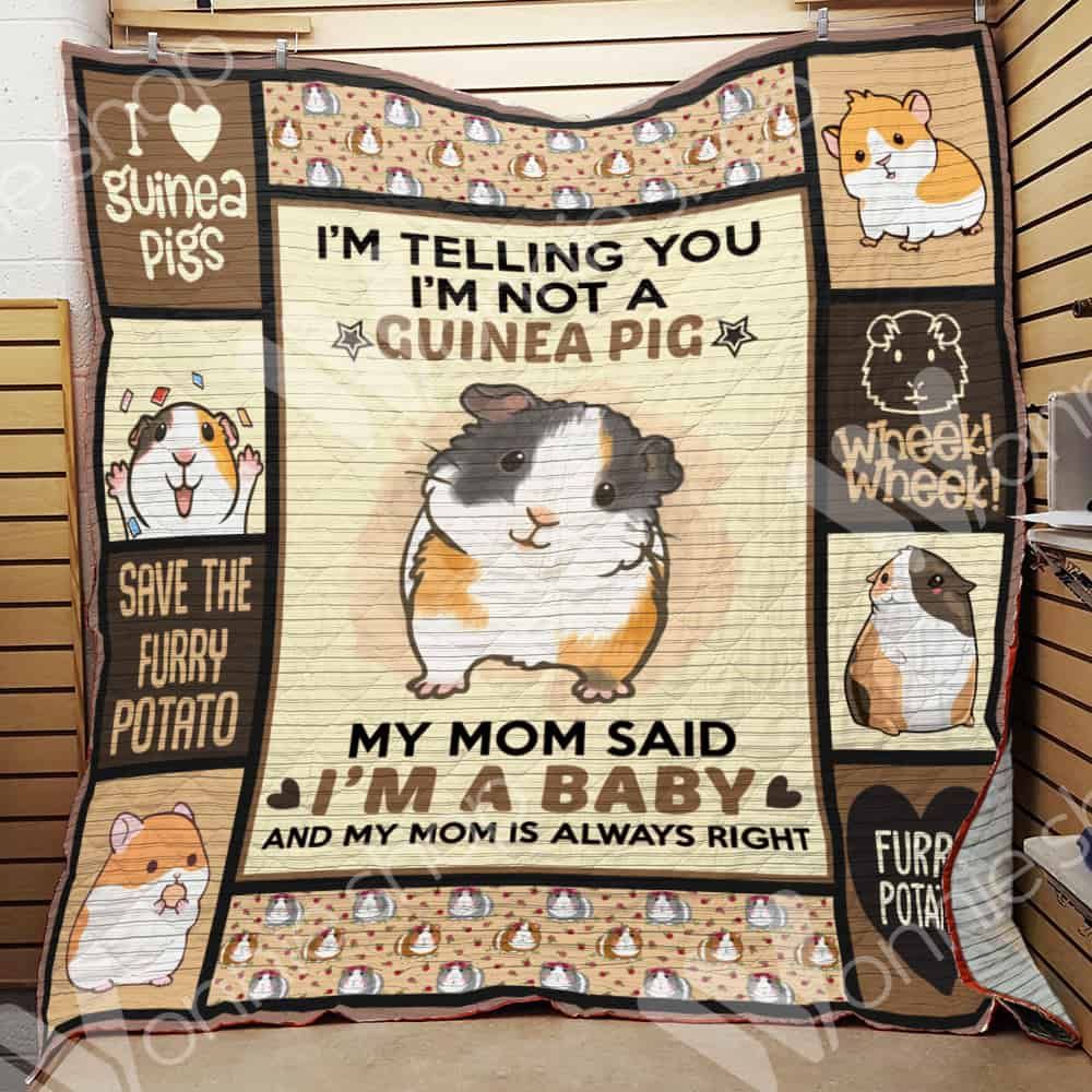 Guinea Pig Quilt Blanket DHC0102677TD
