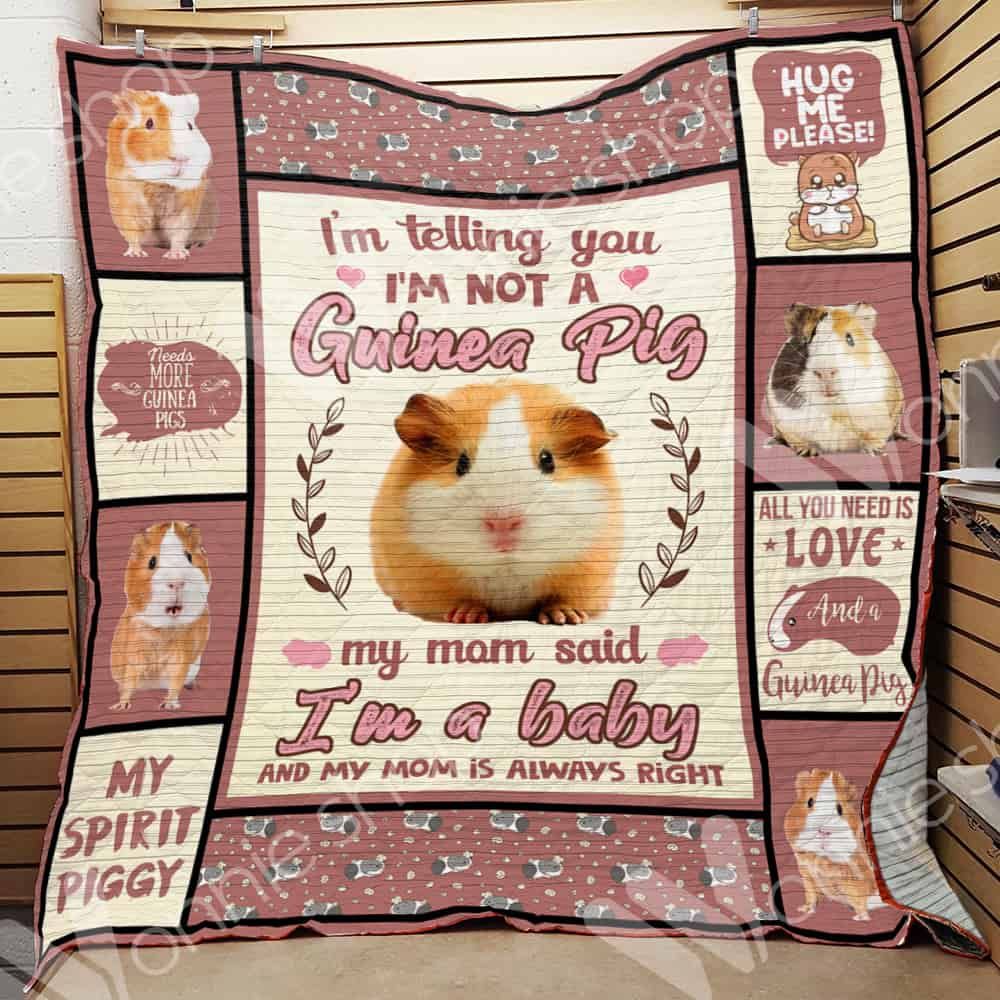 Guinea Pig Quilt Blanket DHC0102678TD