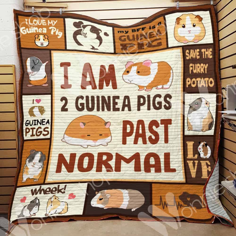 Guinea Pig Quilt Blanket DHC0102683TD