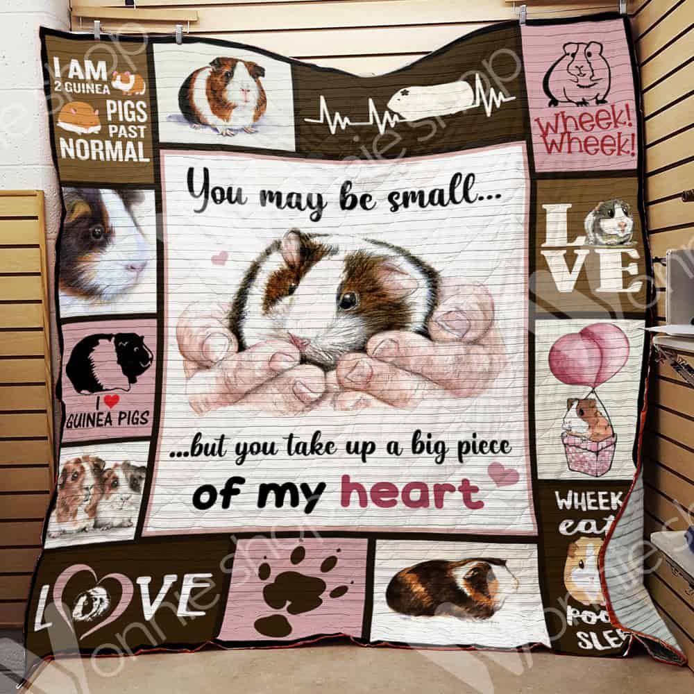 Guinea Pig Quilt Blanket DHC0102692TD