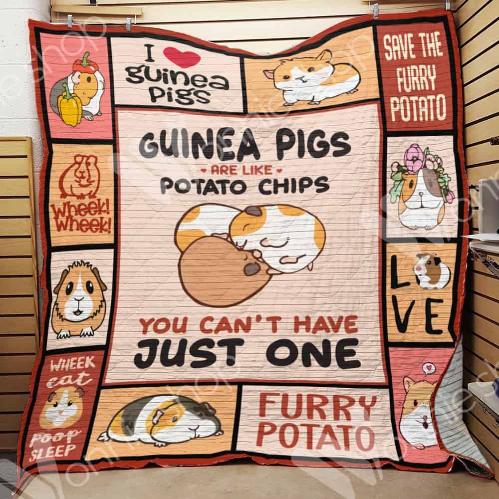 Guinea Pig Quilt Blanket DHC0102756TD