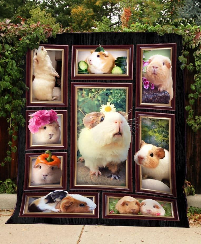 Guinea Pig Vegetable Princess Quilt Blanket DHC31121095TD