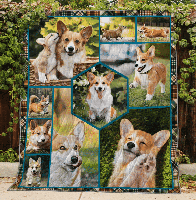Hha0409 Corgi You Dont Love The Pains Quilt Dhc16124643Dd