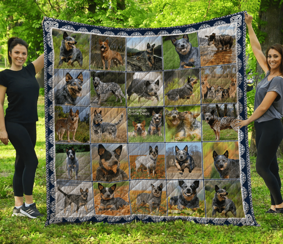 Hha2609 Australian Cattle Dog Position To Win Quilt Dhc16123165Dd