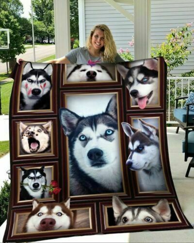 Husky Quilt Blanket DHC1312247VT