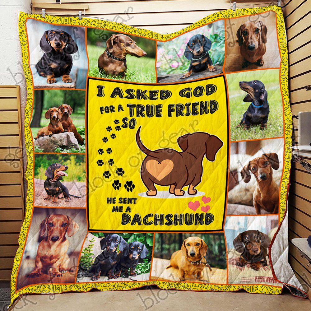 I Asked God For A True Friend He Sent Me A Dachshund Quilt Nh108 Dhc11122520Dd