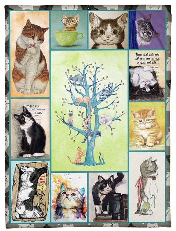 I Love Cats Sherpa Fleece Blanket