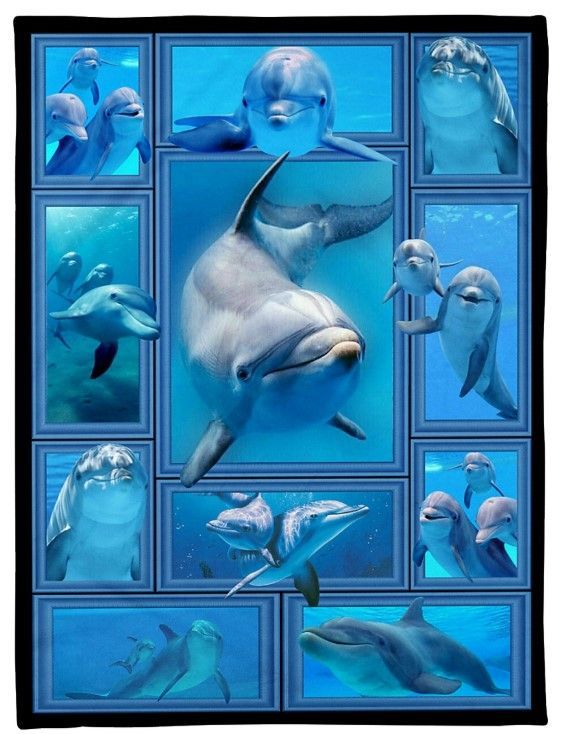 I Love Dolphins Sherpa Fleece Blanket