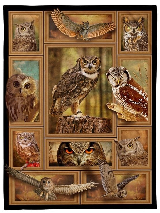 I Love Owls Sherpa Fleece Blanket