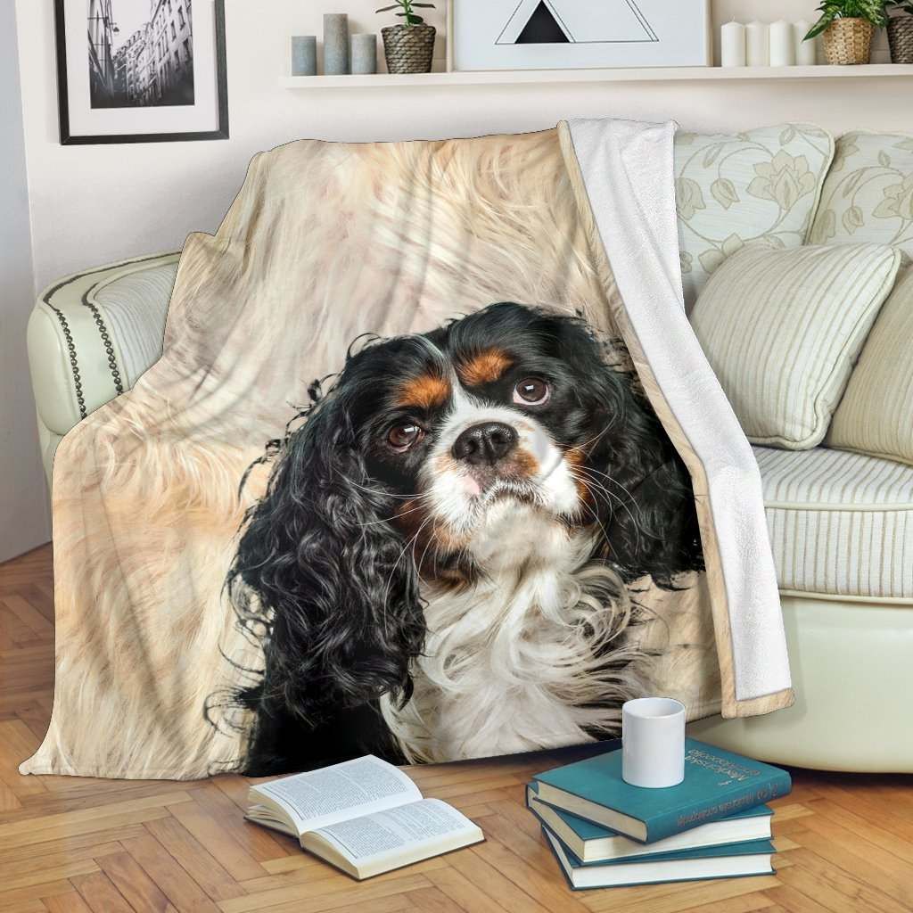 King Charles Spaniel – Blanket – 1225