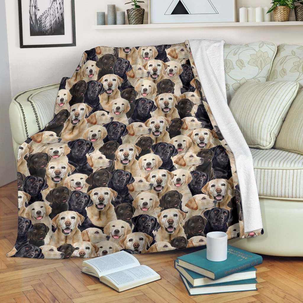 Labrador – Blanket – 1396