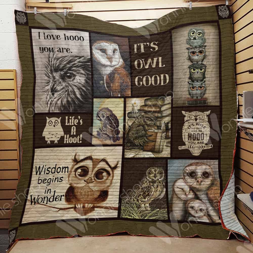 Lkh2609 Owl I Love Hooo You Are Quilt Dhc16123183Dd