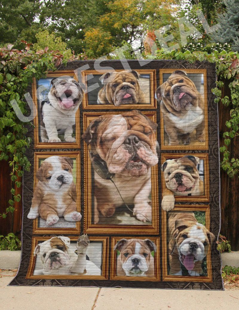 Lkh2708 Bulldog Cute Puppy Bulldog Quilt Dhc16124807Dd