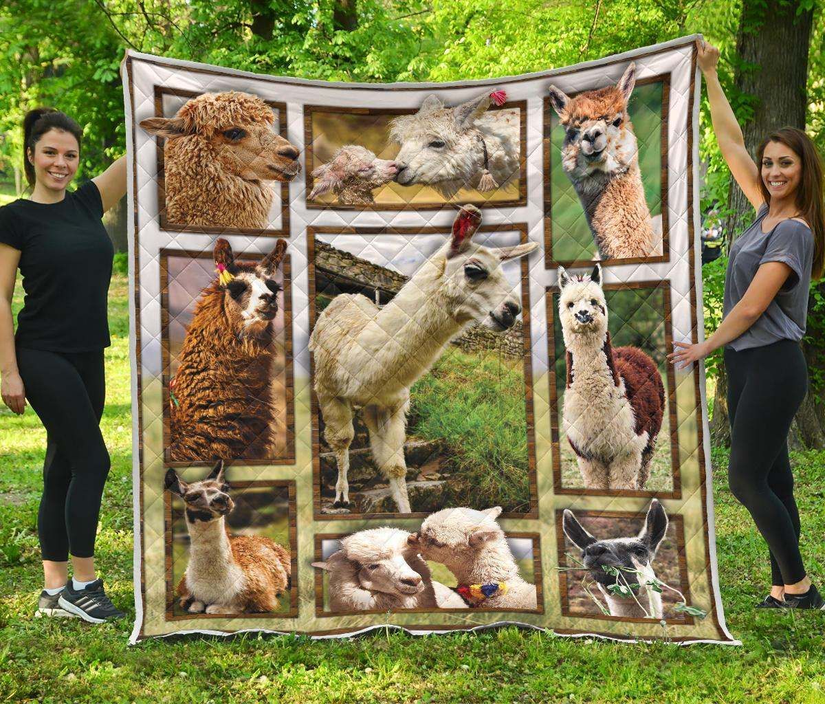 Llama CL12100402MDQ Quilt Blanket