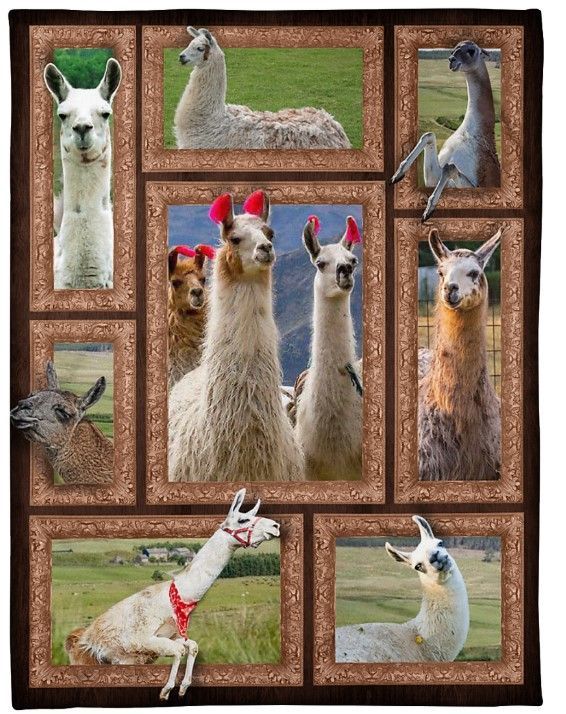 Llama Sherpa Fleece Blanket