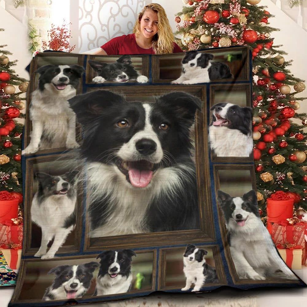 Ltr1012 Border Collie 01 Border Collie 1012 Quilt Dhc16122040Dd