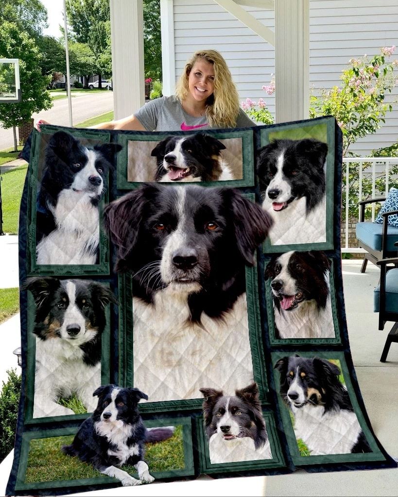 Ltr1908 Border Collie Lean On Quilt Dhc16124788Dd