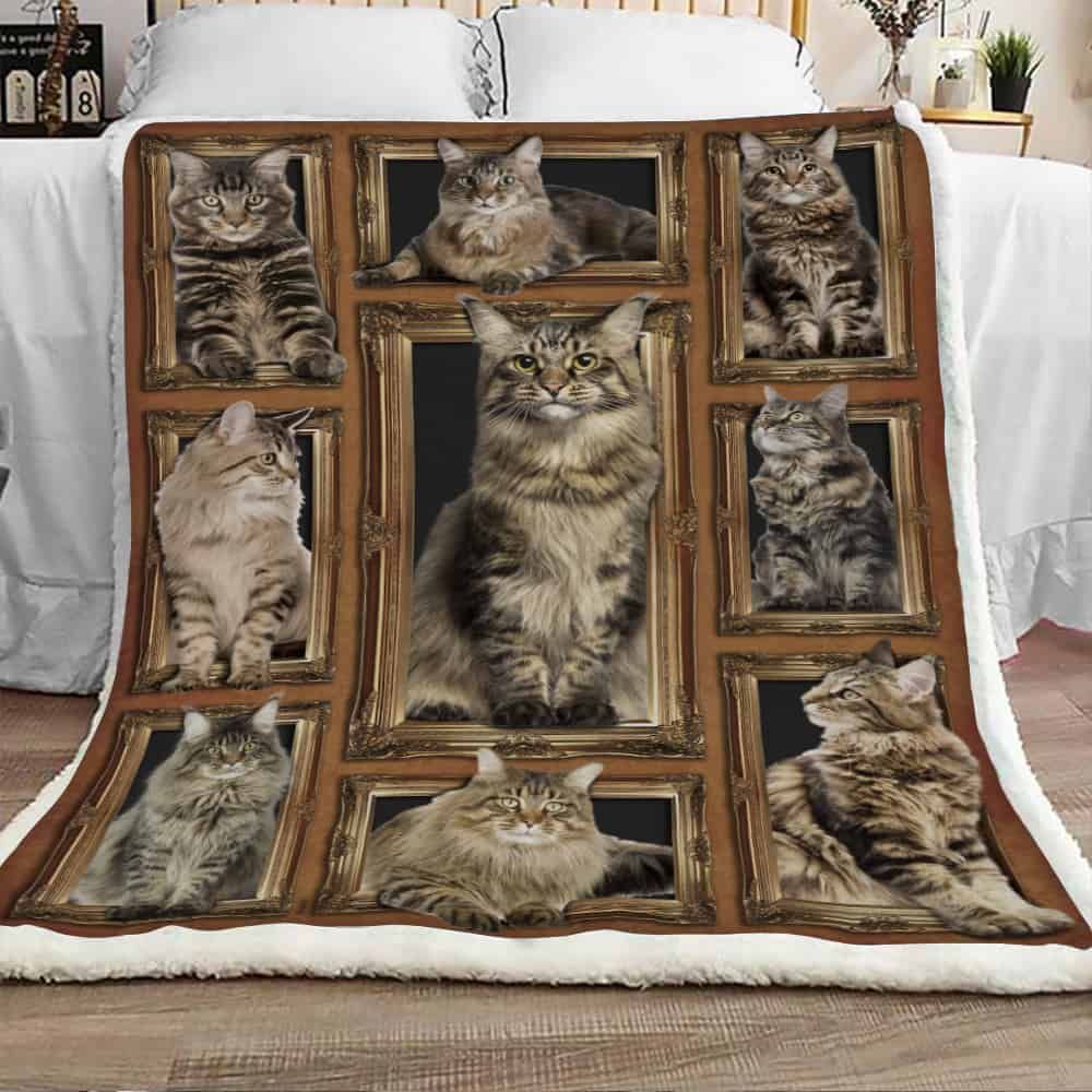Maine Coon Cat In Dark Sherpa Fleece Blanket