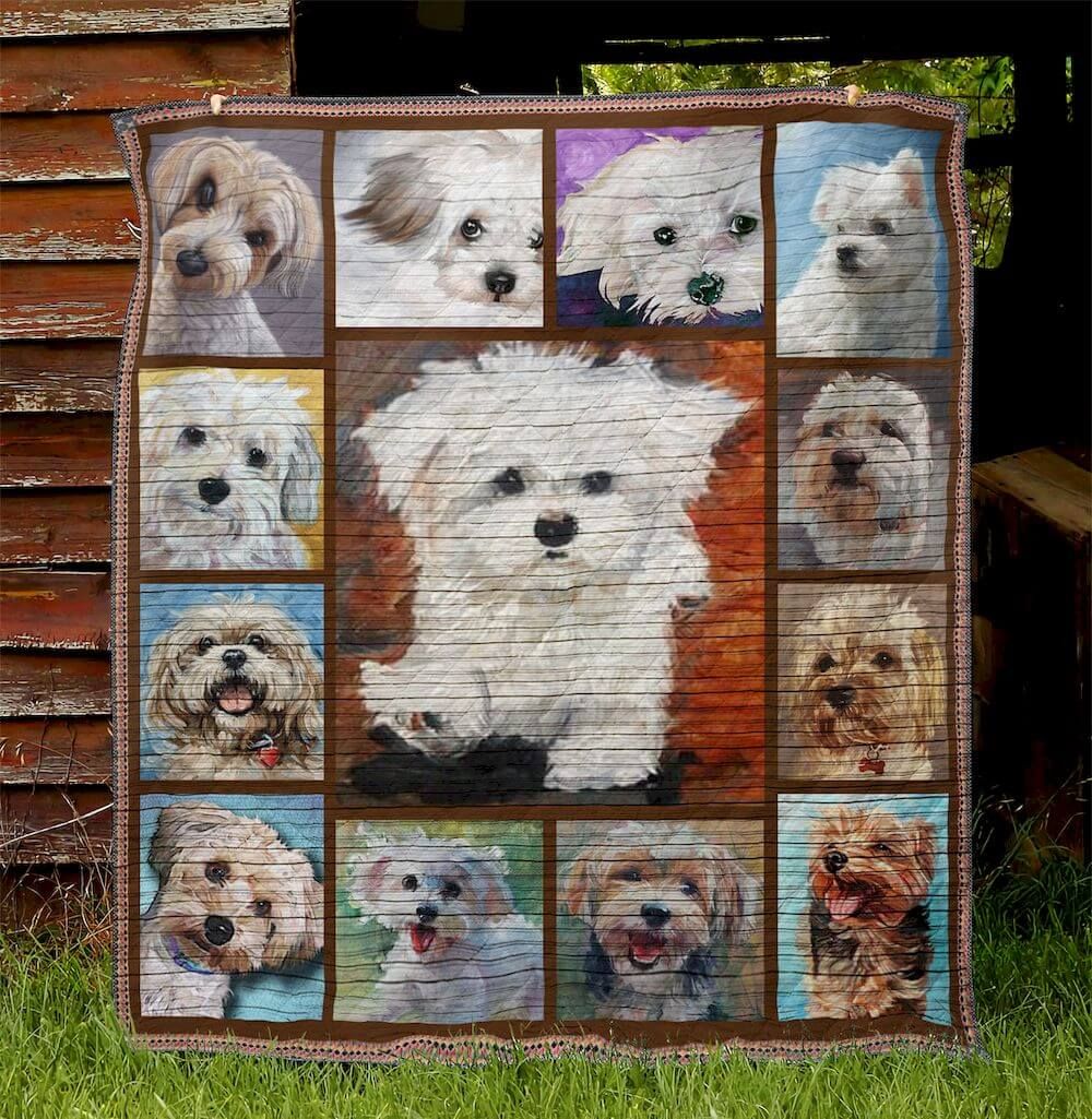 Maltese Best Of Cute Dog Quilt Blanket DHC020120349TD