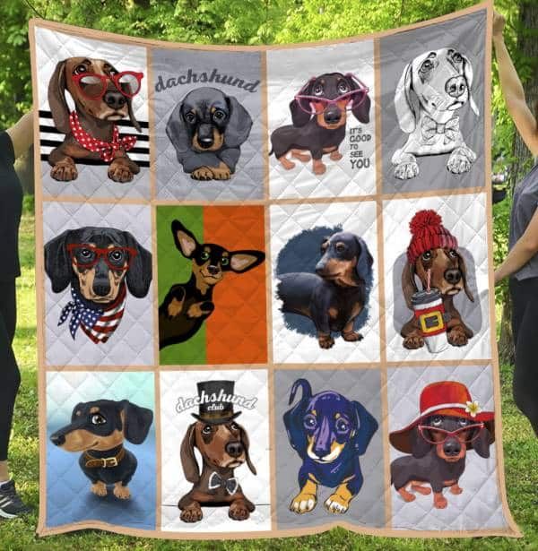 Mp0110 Dachshund It S Good To See You Quilt Dhc16123054Dd